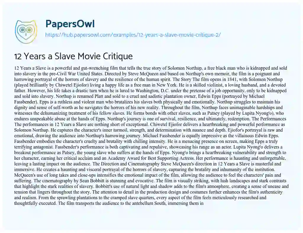 Essay on 12 Years a Slave Movie Critique