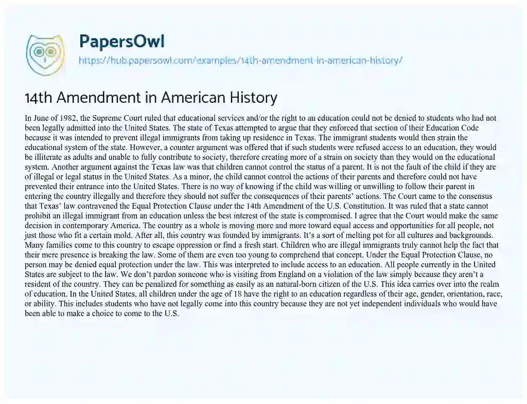 Essay on 14th Amendment in American History