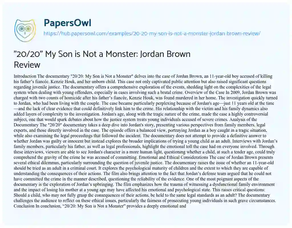 Essay on “20/20” My Son is Not a Monster: Jordan Brown Review