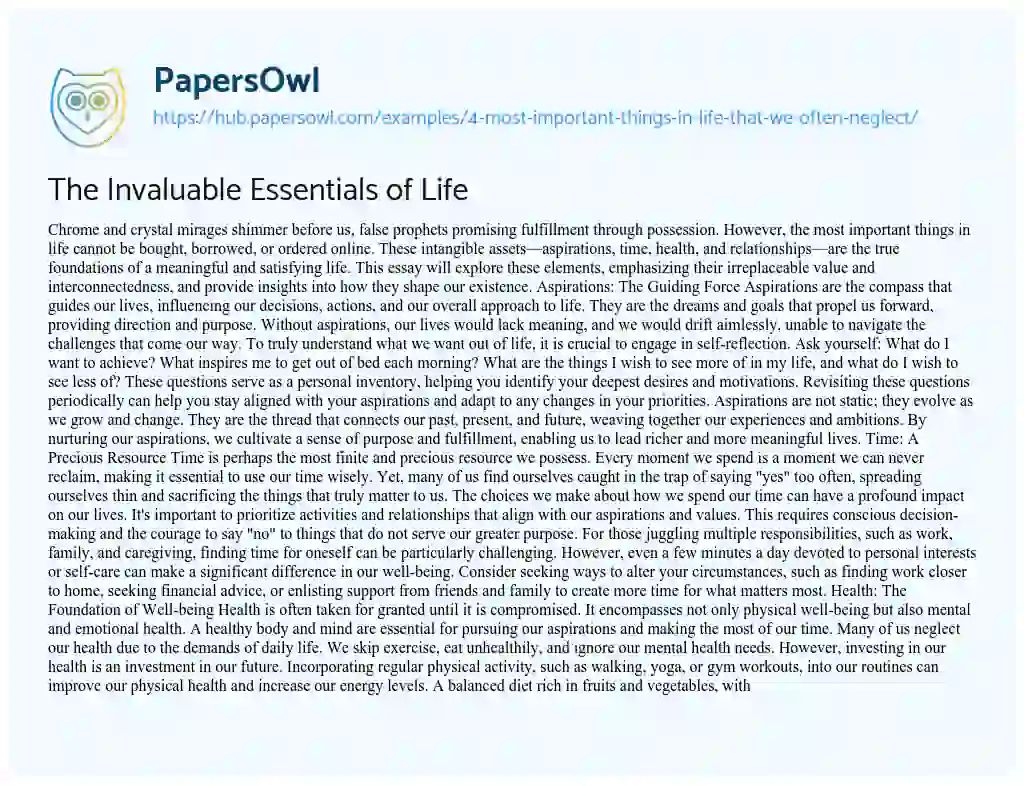 Essay on The Invaluable Essentials of Life