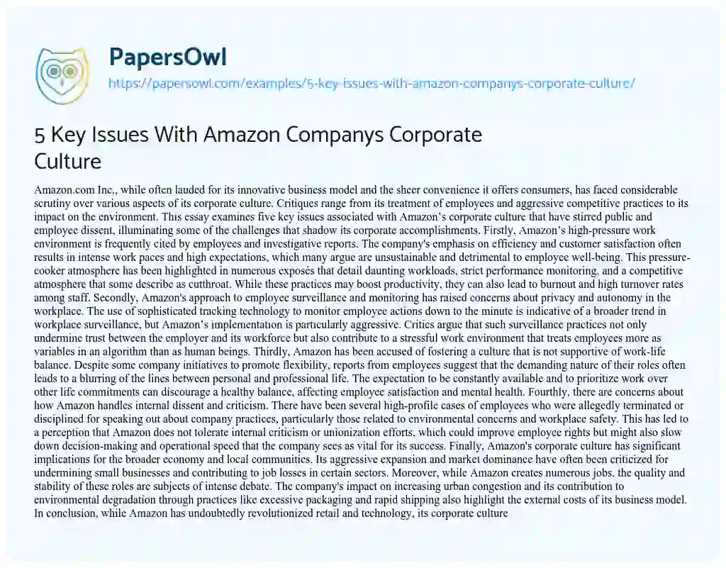 Essay on 5 Key Issues With Amazon Companys Corporate Culture