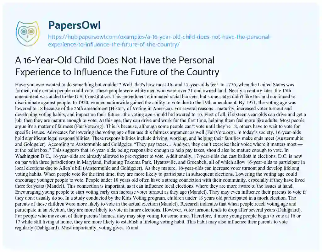 Essay on A 16-Year-Old Child Does Not Have the Personal Experience to Influence the Future of the Country
