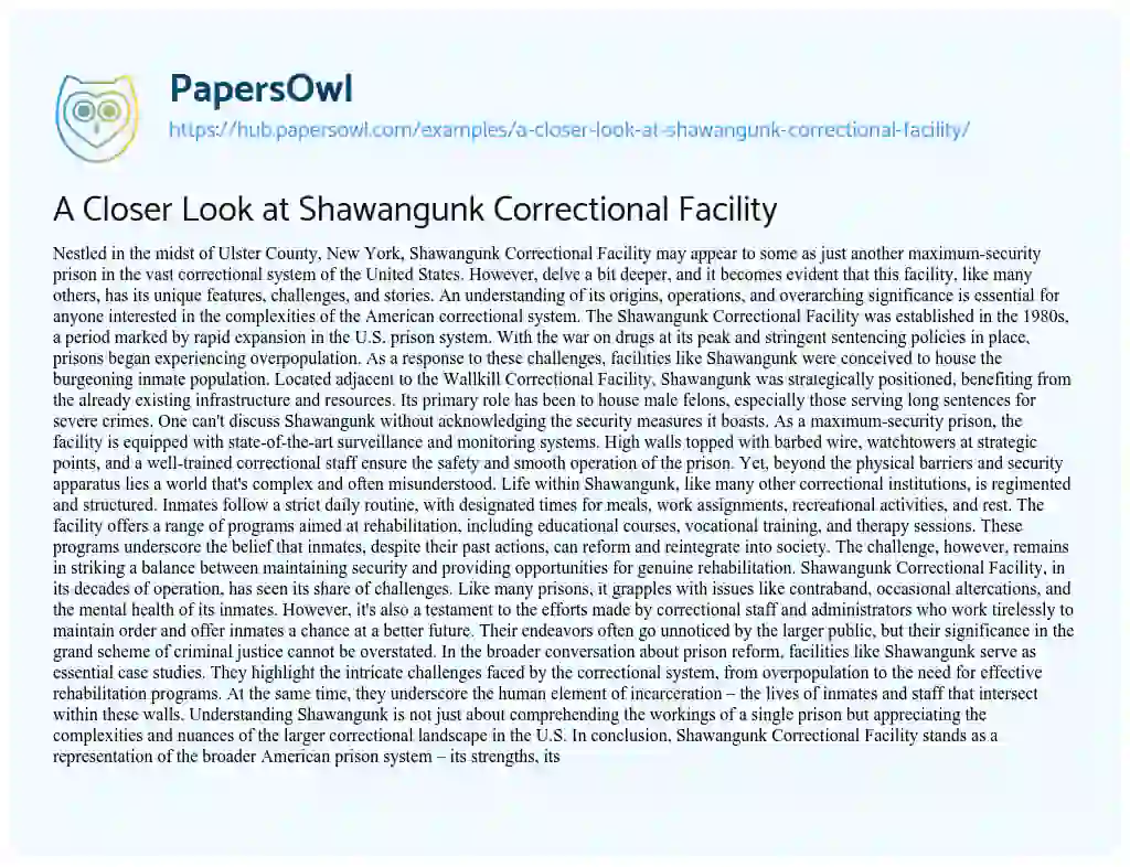 Essay on A Closer Look at Shawangunk Correctional Facility