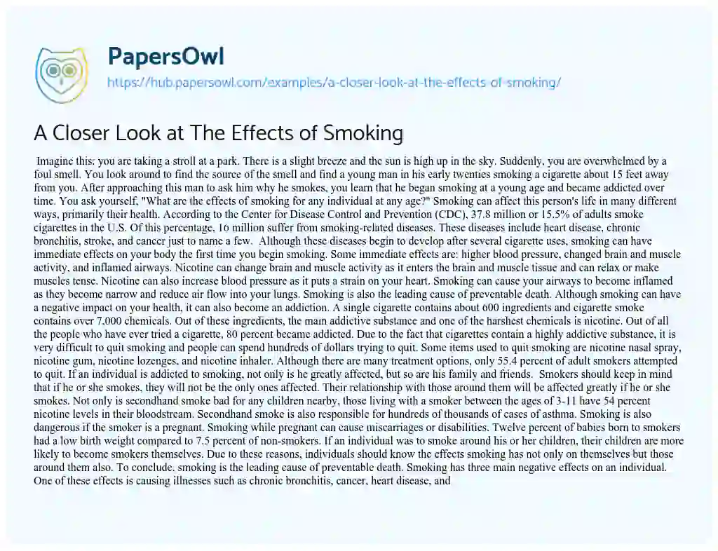 Essay on A Closer Look at The Effects of Smoking