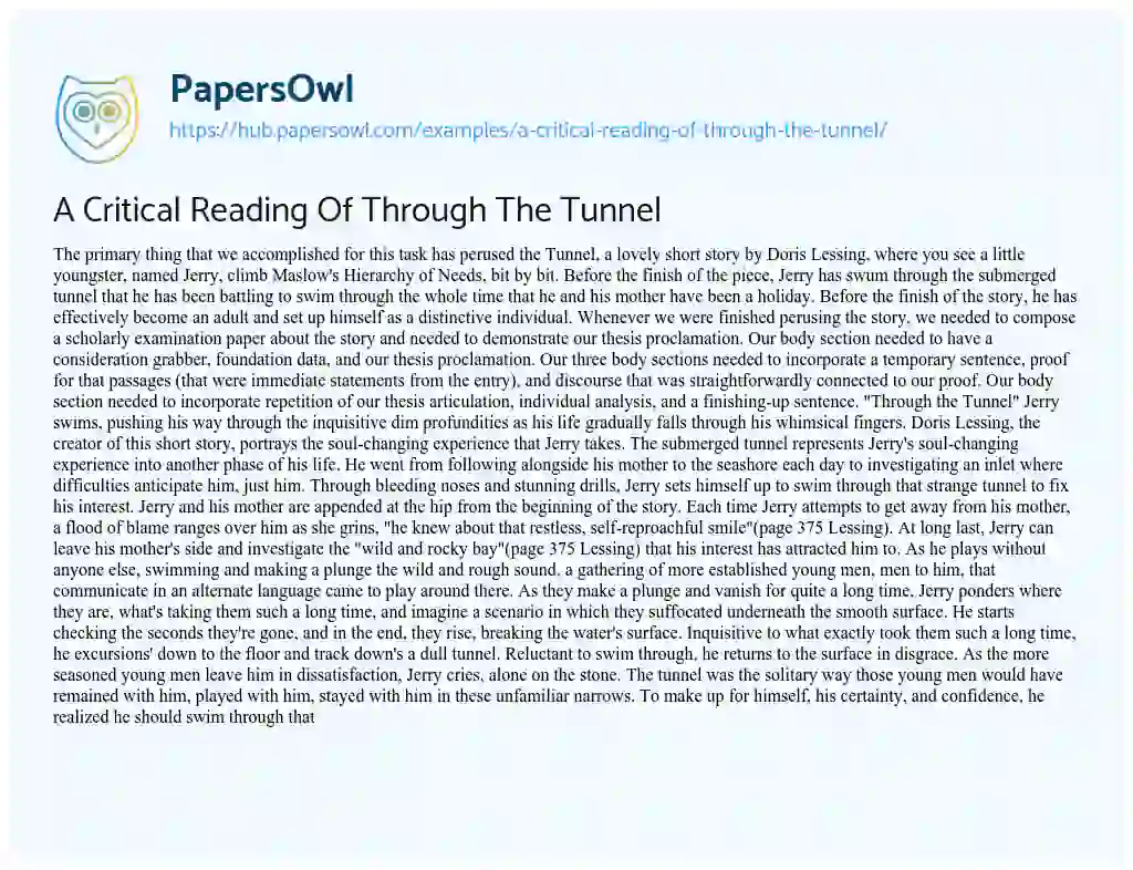 Essay on A Critical Reading Of Through The Tunnel