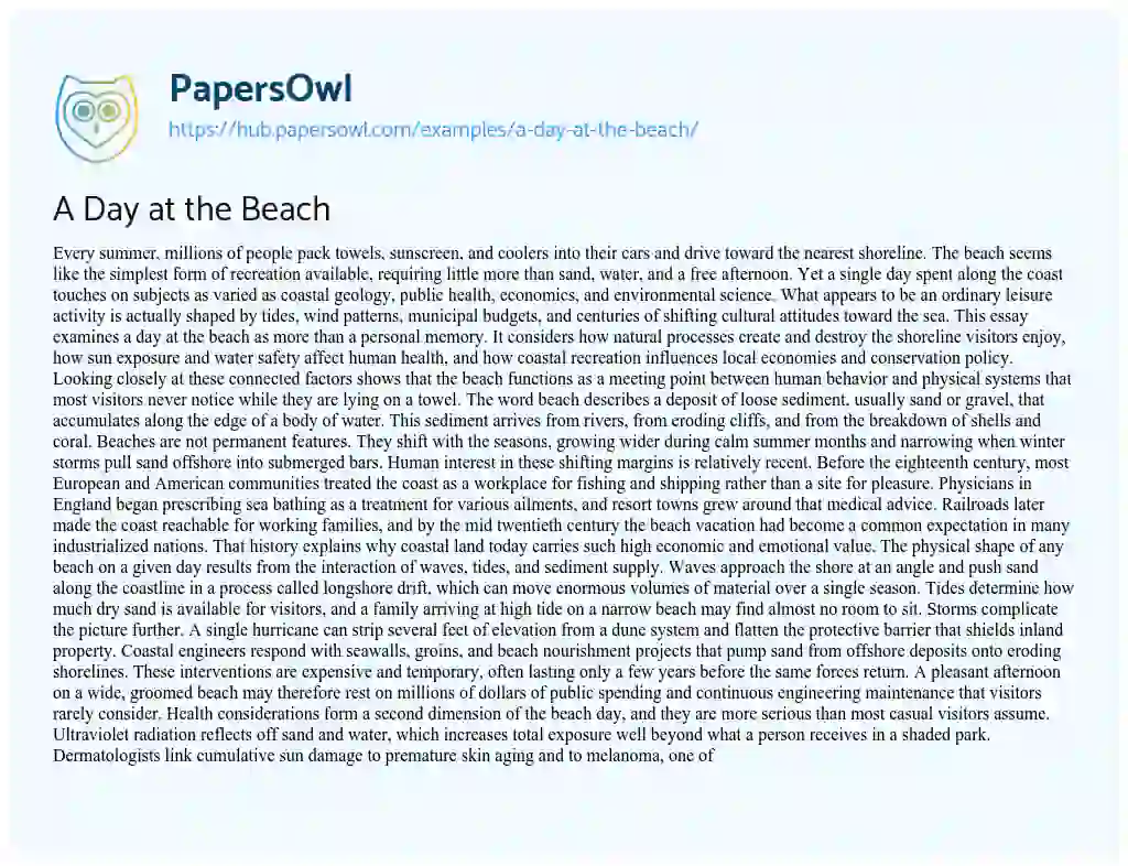 Essay on A Day at the Beach