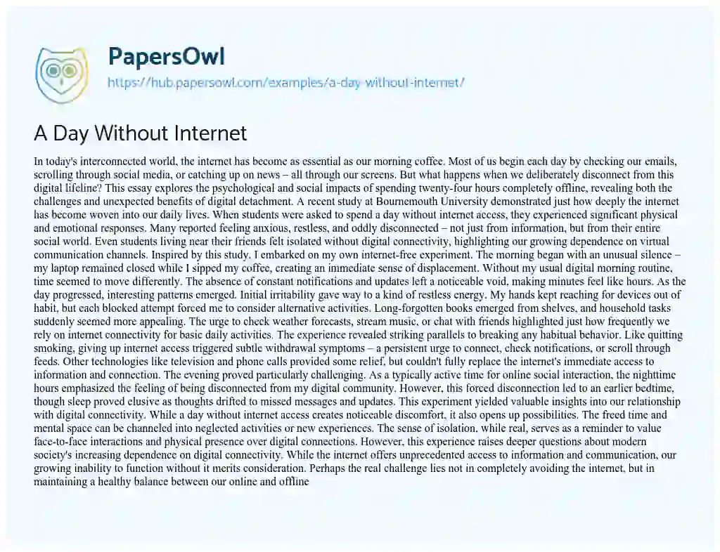 Essay on A Day Without Internet