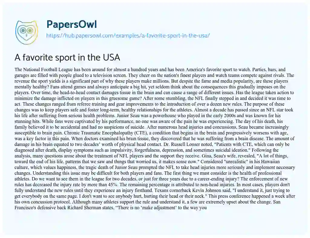 Essay on A favorite sport in the USA