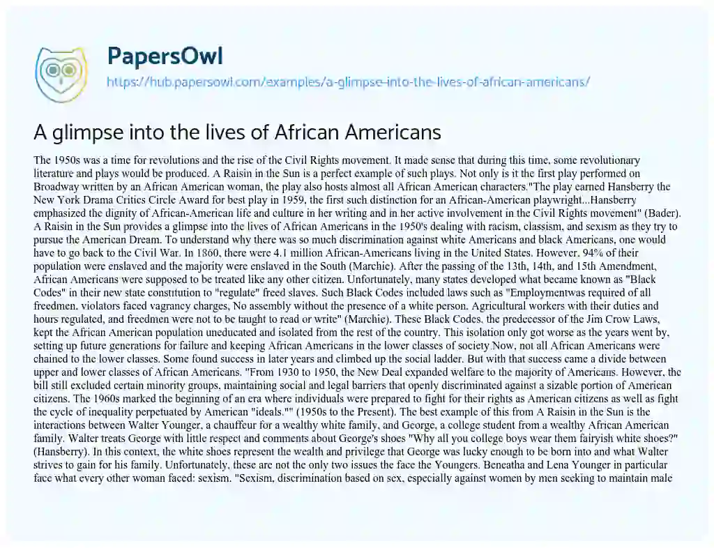 Essay on A glimpse into the lives of African Americans