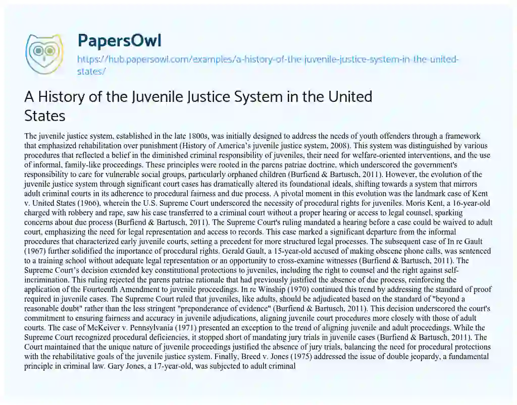 Essay on A History of the Juvenile Justice System in the United States