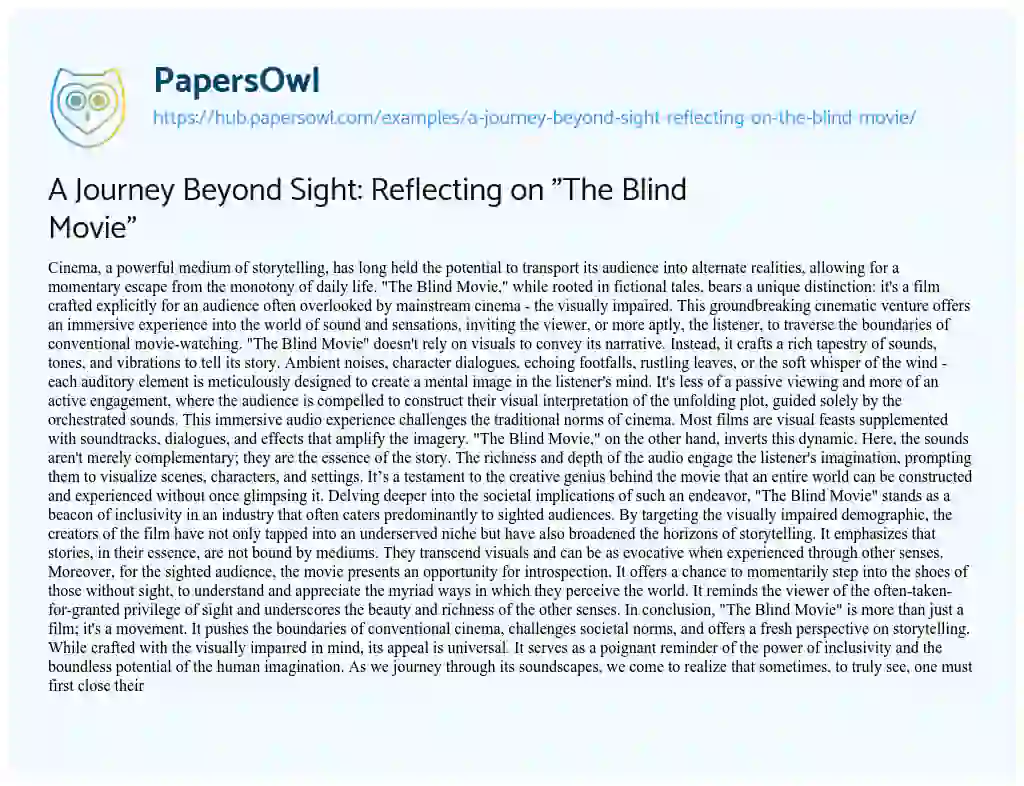 Essay on A Journey Beyond Sight: Reflecting on “The Blind Movie”