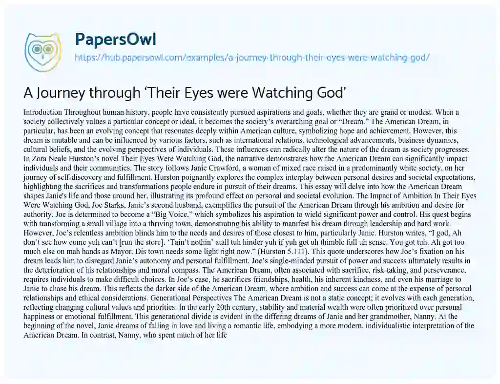 Essay on A Journey through ‘Their Eyes were Watching God’