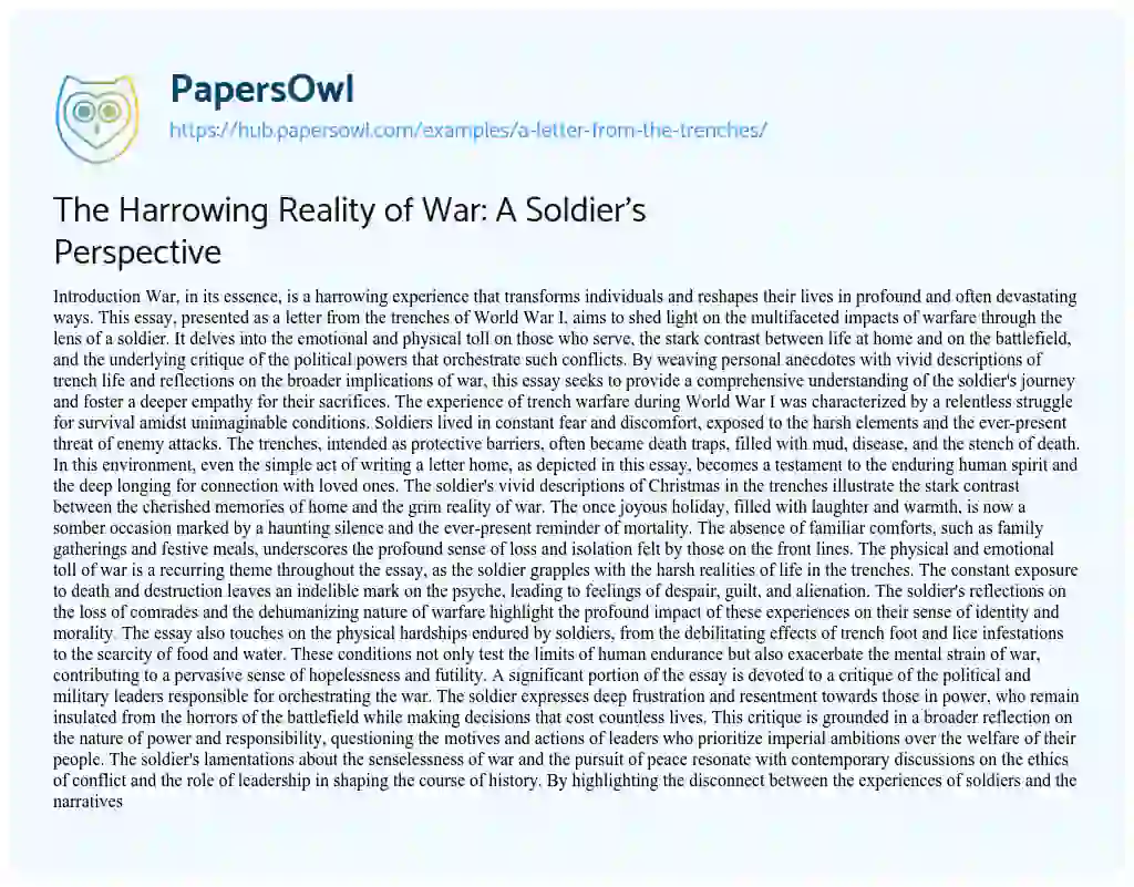Essay on The Harrowing Reality of War: A Soldier’s Perspective