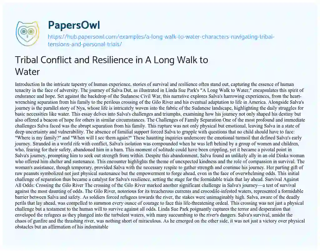 Essay on Tribal Conflict and Resilience in A Long Walk to Water