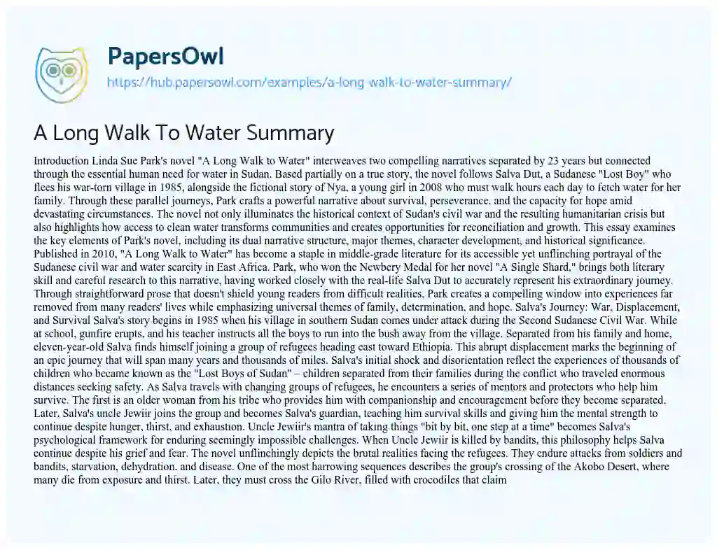 Essay on A Long Walk To Water Summary