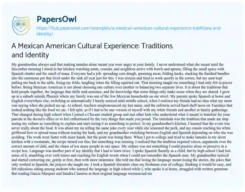 Essay on A Mexican American Cultural Experience: Traditions and Identity
