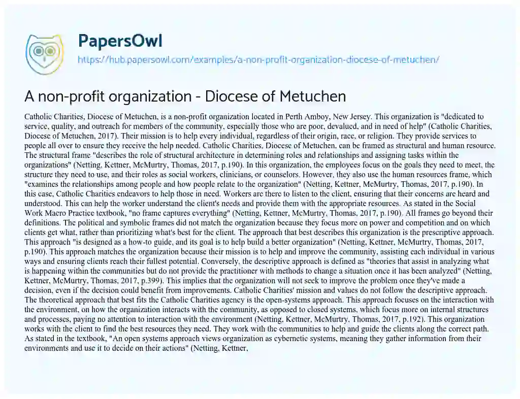 Essay on A non-profit organization – Diocese of Metuchen