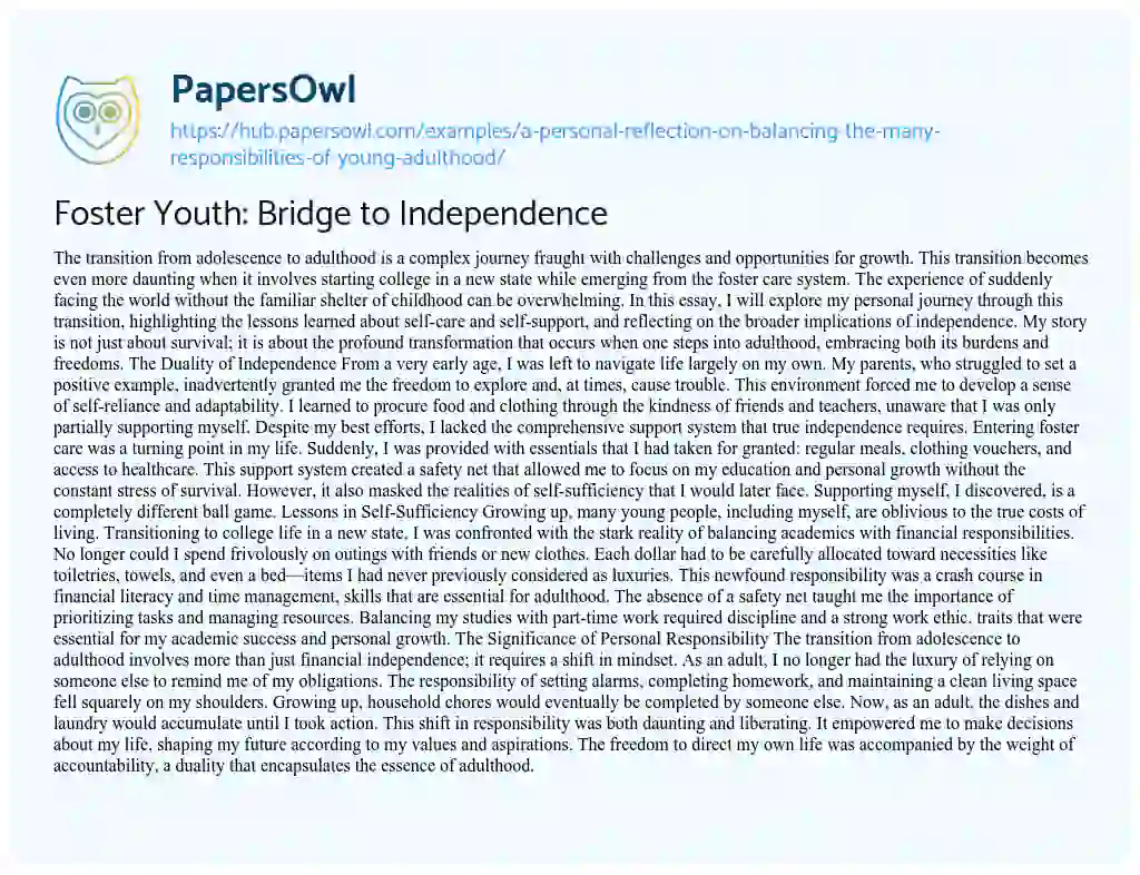 Essay on Foster Youth: Bridge to Independence
