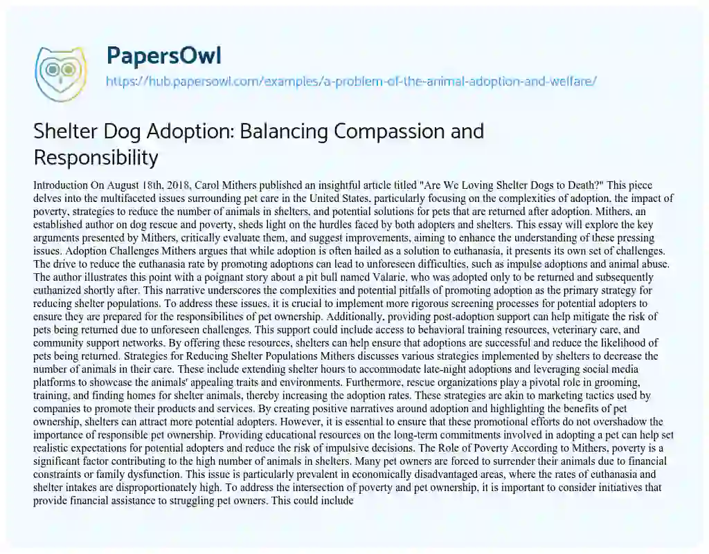 Essay on Shelter Dog Adoption: Balancing Compassion and Responsibility