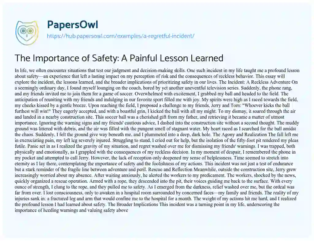 Essay on The Importance of Safety: A Painful Lesson Learned