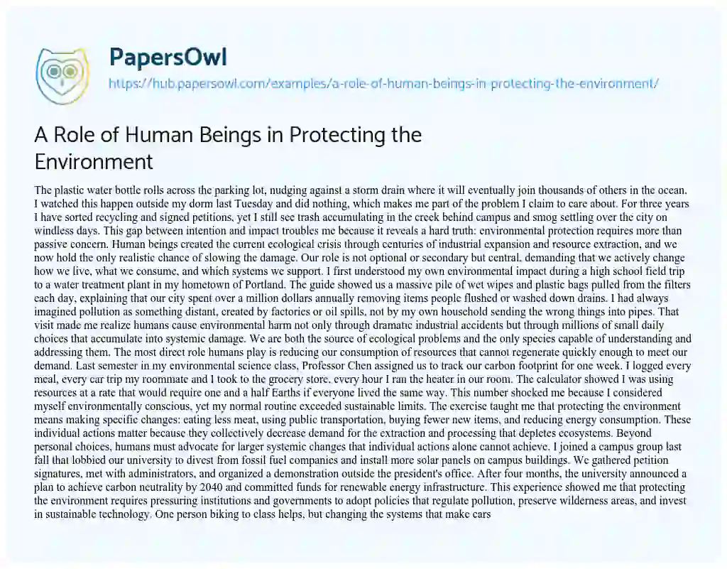 Essay on A Role of Human Beings in Protecting the Environment