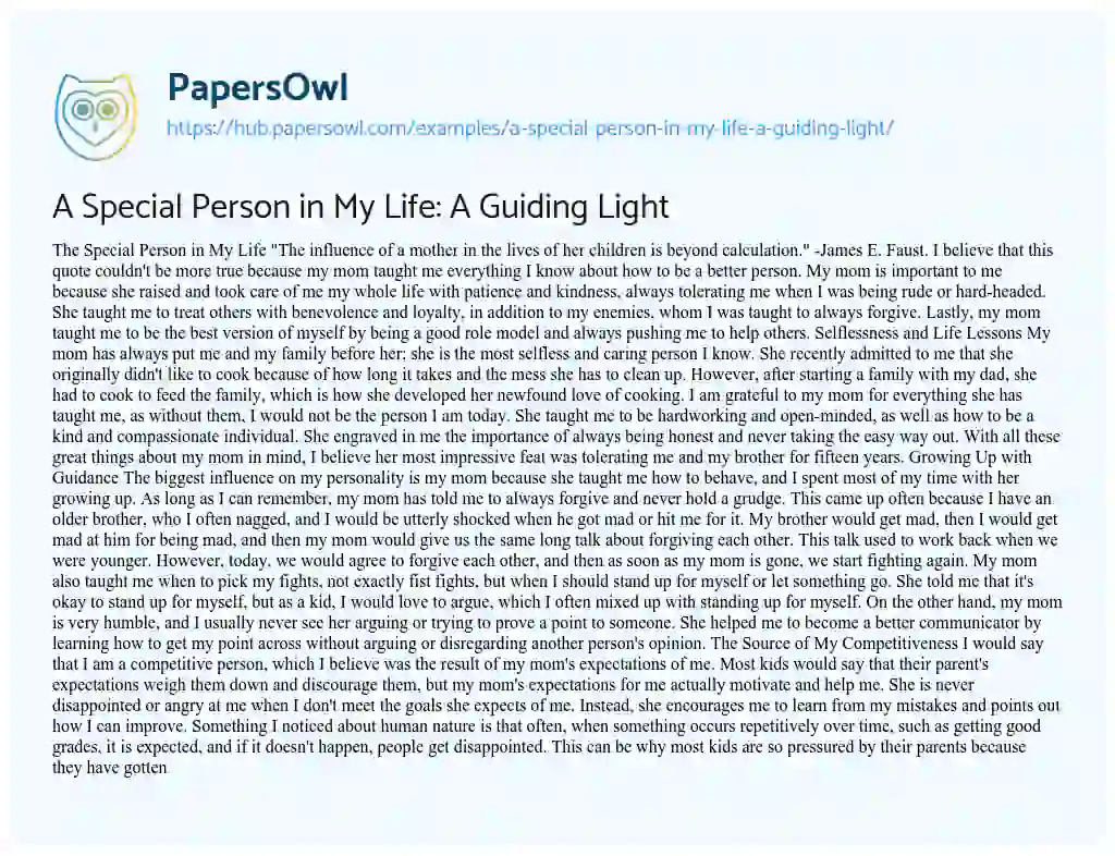 Essay on A Special Person in My Life: A Guiding Light