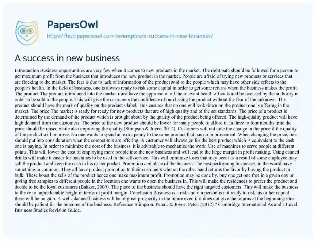 Essay on A success in new business