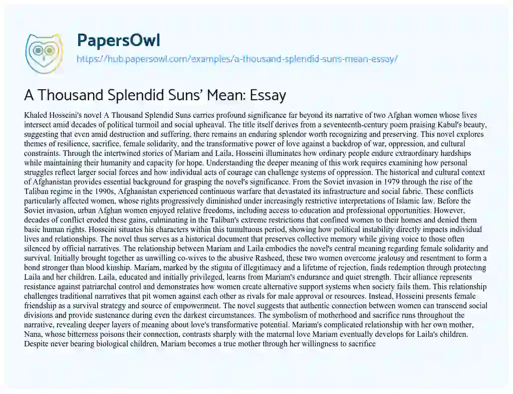 Essay on A Thousand Splendid Suns’ Mean: Essay