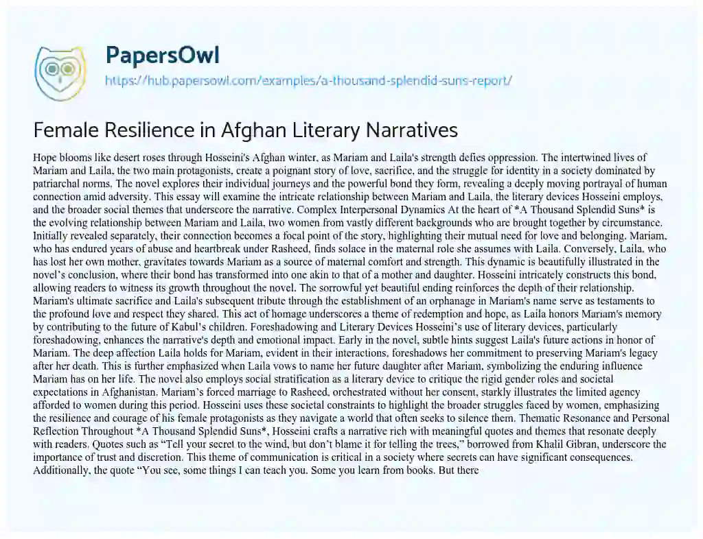 Essay on Female Resilience in Afghan Literary Narratives