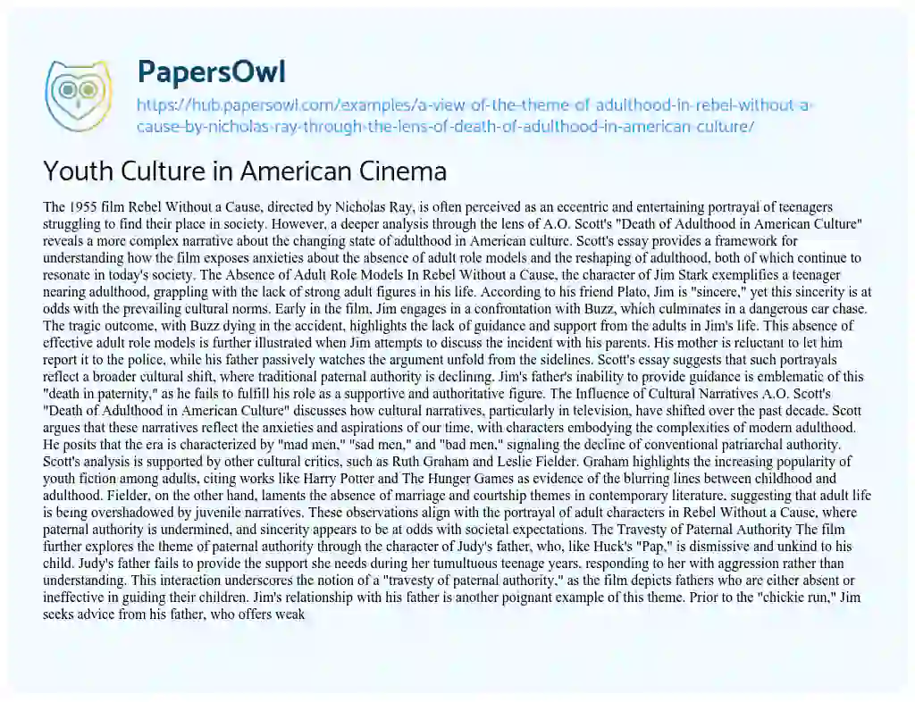 Essay on Youth Culture in American Cinema