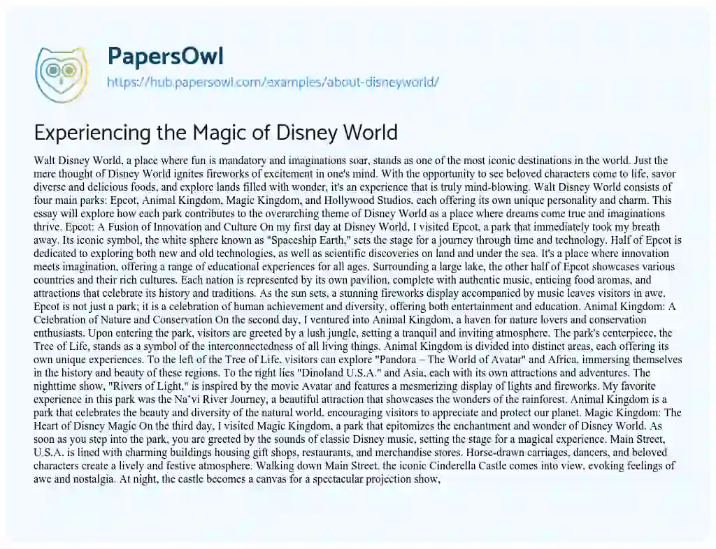 Essay on Experiencing the Magic of Disney World