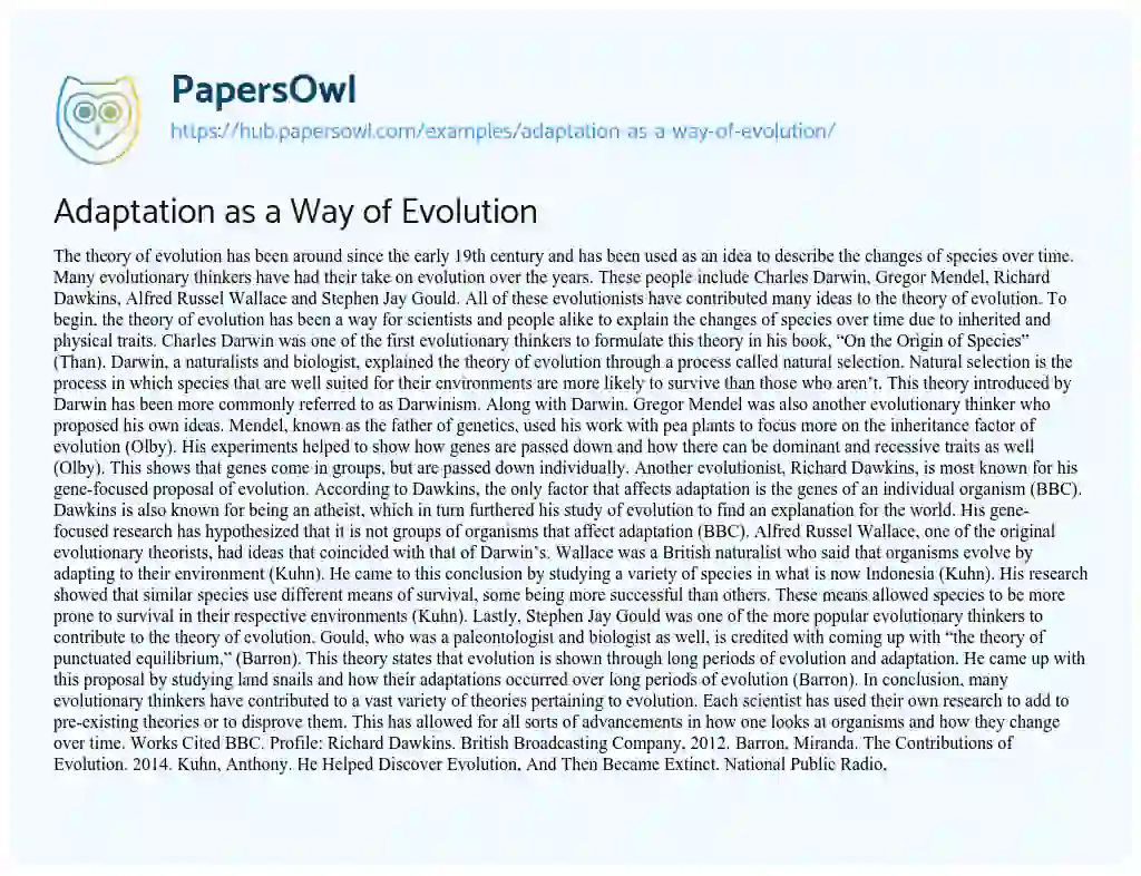 Essay on Adaptation as a Way of Evolution
