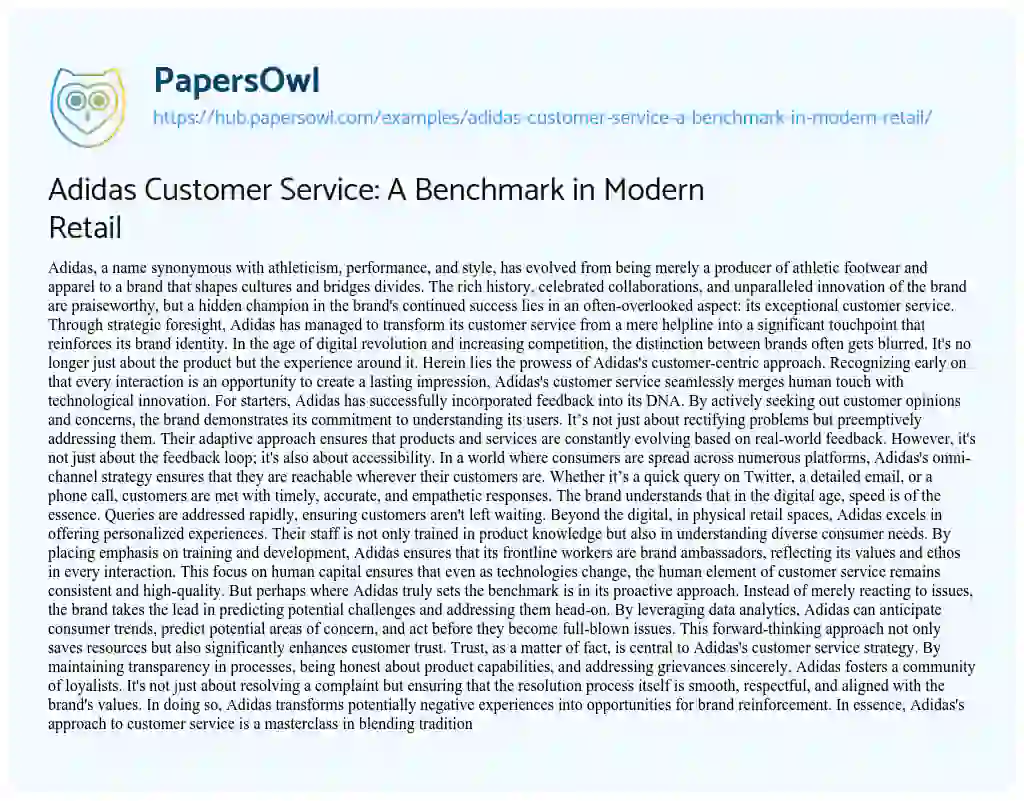 Essay on Adidas Customer Service: A Benchmark in Modern Retail