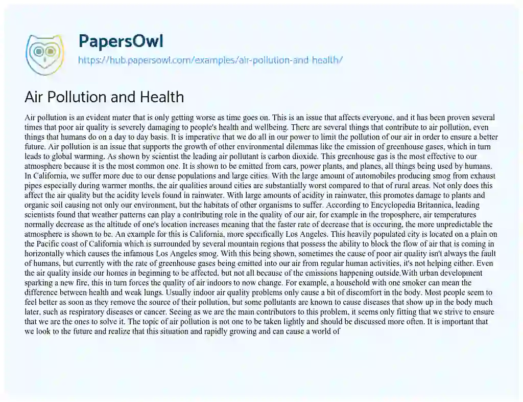 Essay on Air Pollution and Health
