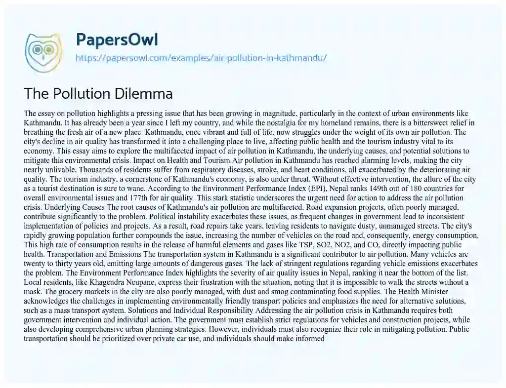 Essay on The Pollution Dilemma
