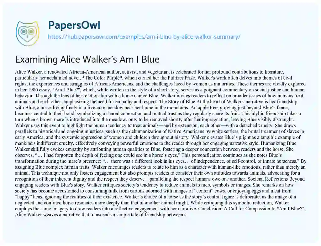 Essay on Examining Alice Walker’s Am I Blue