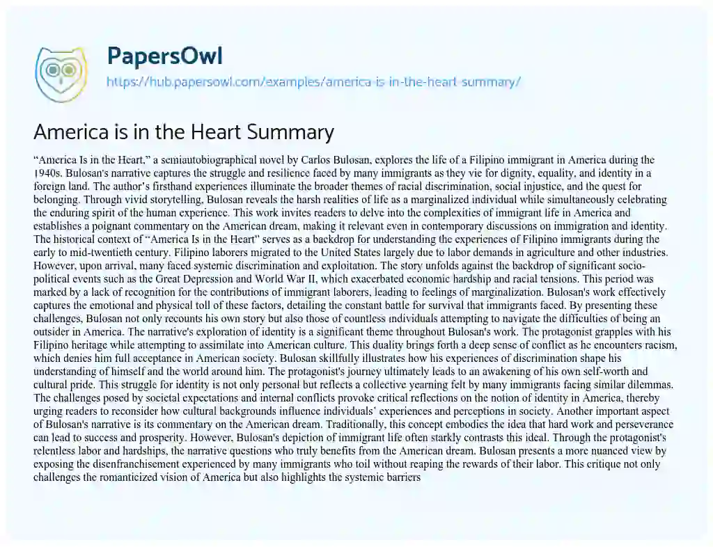 Essay on America is in the Heart Summary