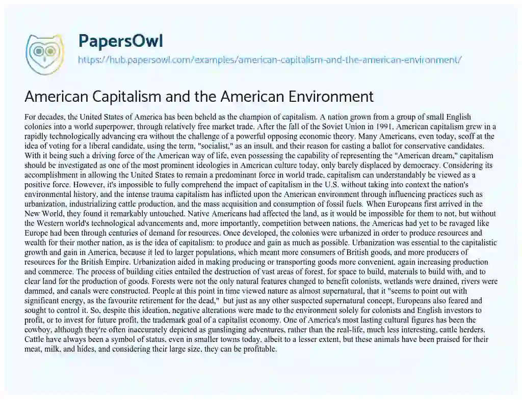 Essay on American Capitalism and the American Environment