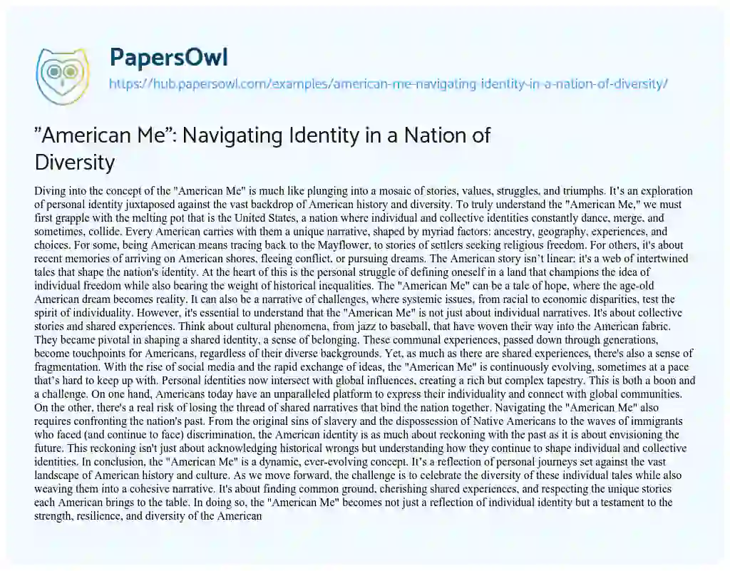 Essay on “American Me”: Navigating Identity in a Nation of Diversity