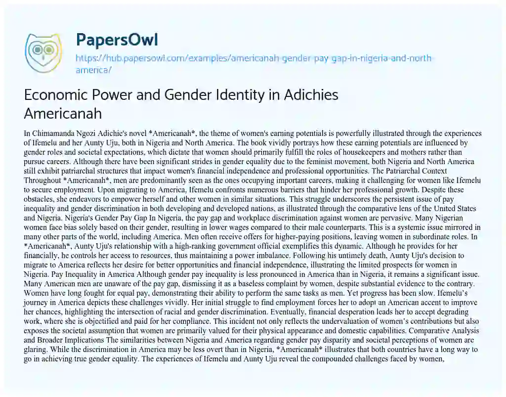 Essay on Economic Power and Gender Identity in Adichies Americanah