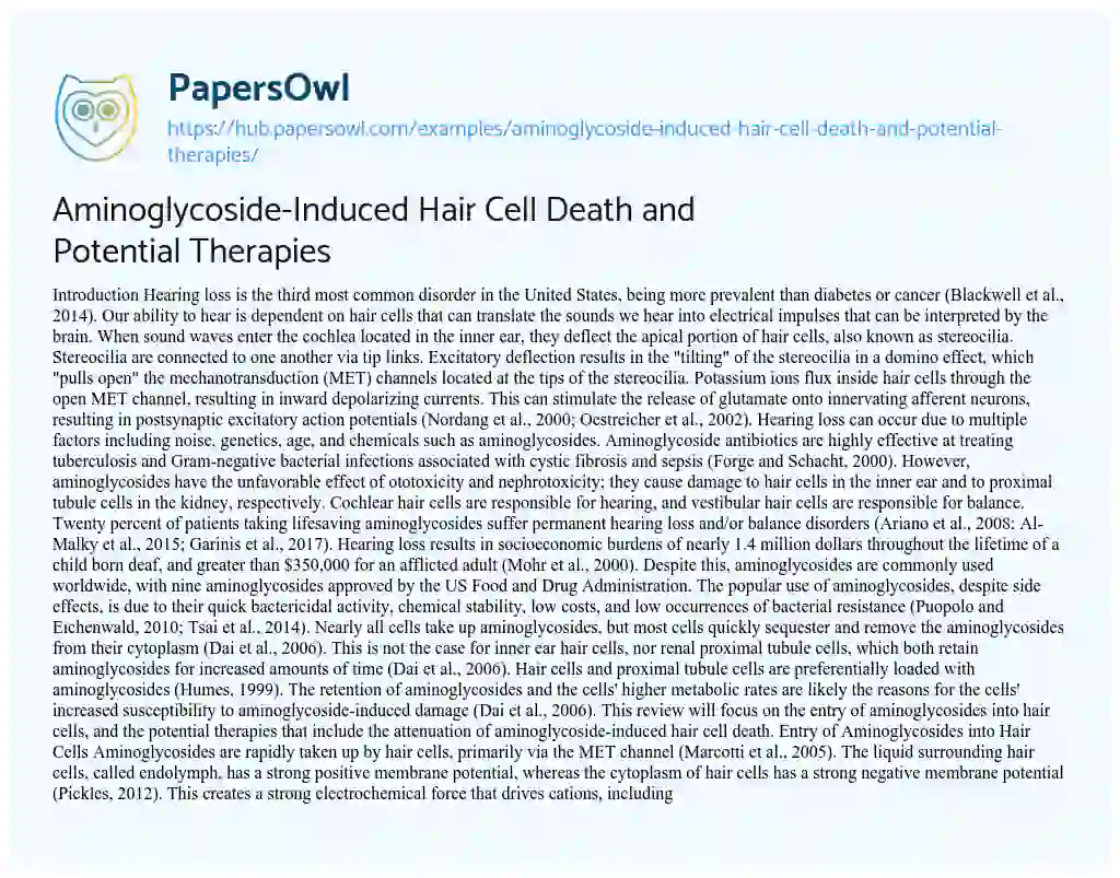 Essay on Aminoglycoside-Induced Hair Cell Death and Potential Therapies