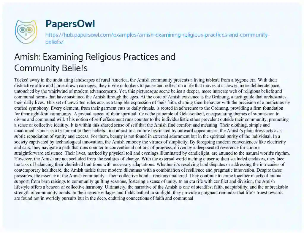 Essay on Amish: Examining Religious Practices and Community Beliefs