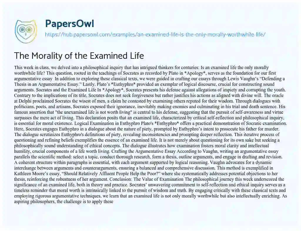 Essay on The Morality of the Examined Life