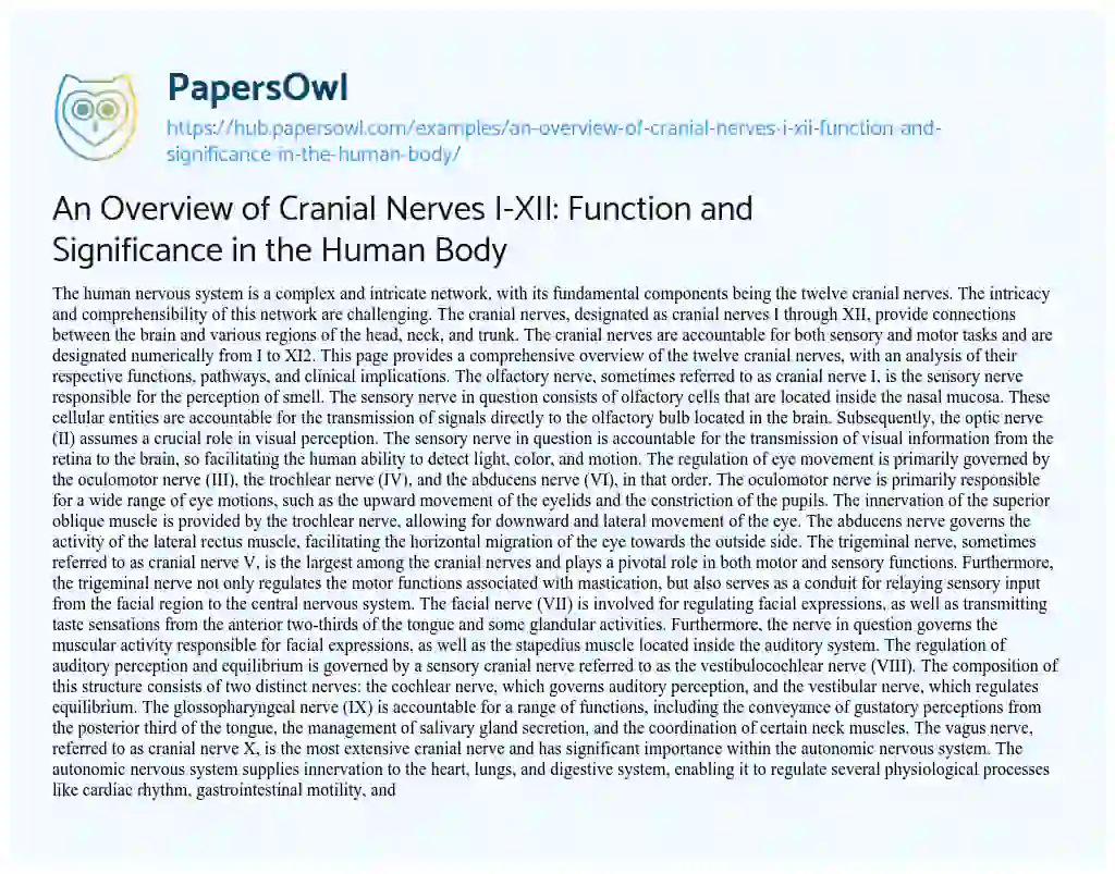Essay on An Overview of Cranial Nerves I-XII: Function and Significance in the Human Body