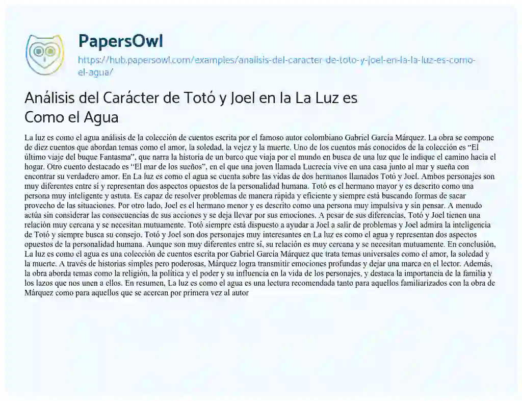 Essay on Análisis del Carácter de Totó y Joel en la La Luz es Como el Agua