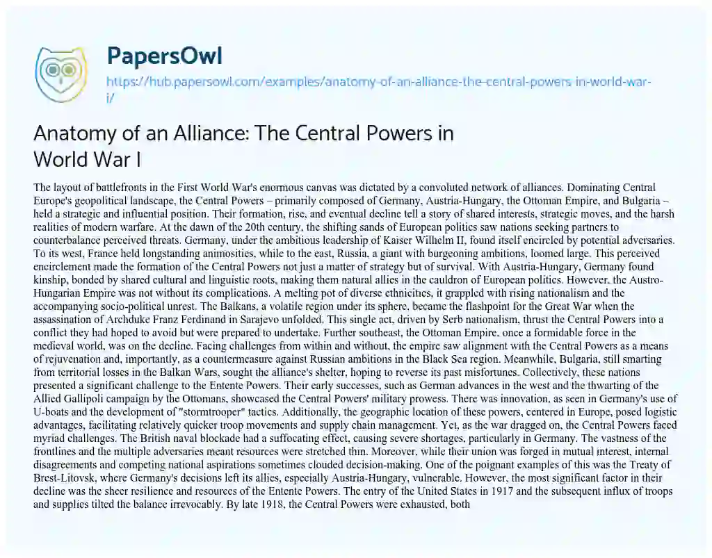 Essay on Anatomy of an Alliance: The Central Powers in World War I