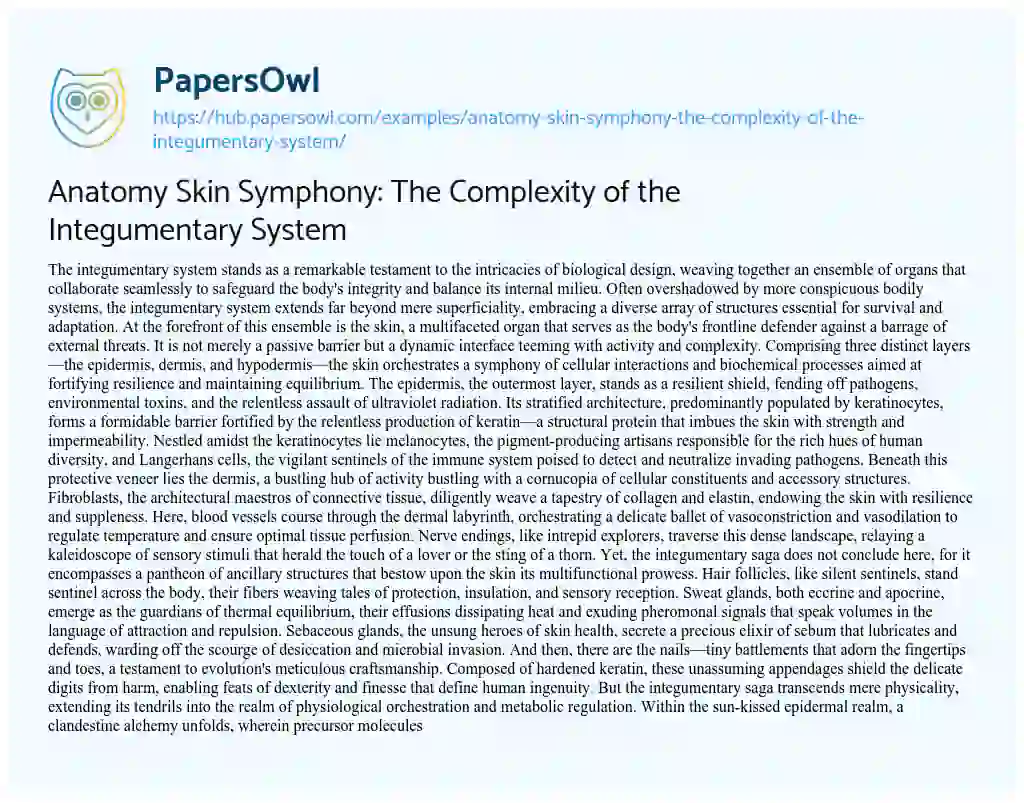 Essay on Anatomy Skin Symphony: The Complexity of the Integumentary System