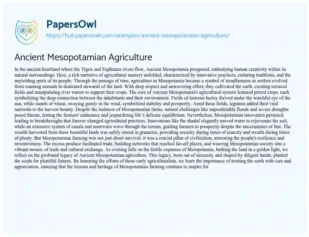 Essay on Ancient Mesopotamian Agriculture