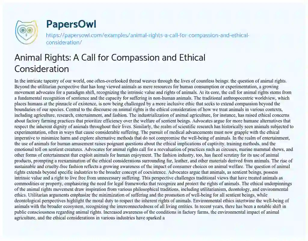 Essay on Animal Rights: A Call for Compassion and Ethical Consideration