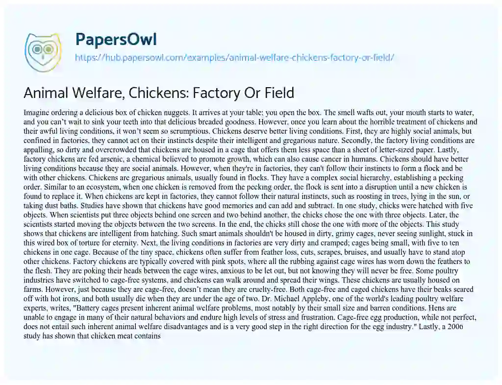 Essay on Animal Welfare, Chickens: Factory Or Field